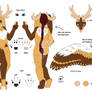 wolpertinger - Refsheet (2 of 2)