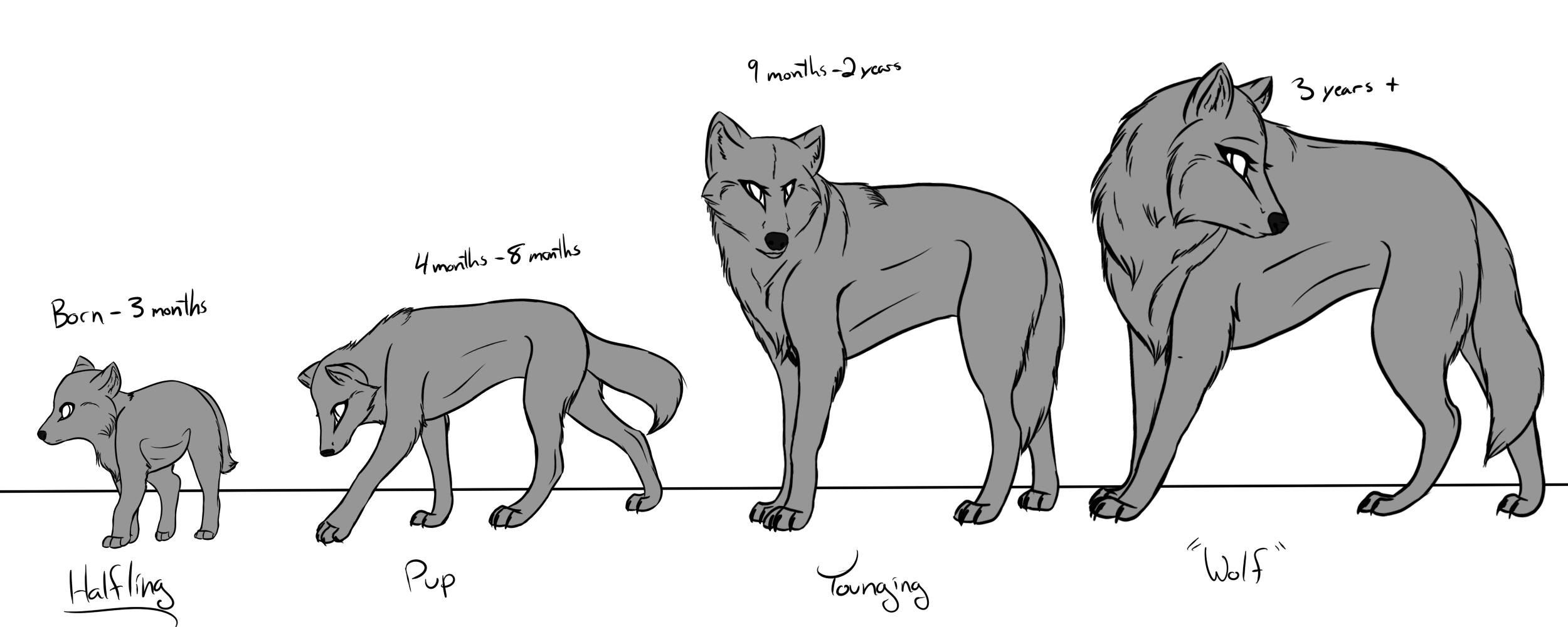 Wolf Age Stages Female by RaesofArt on DeviantArt