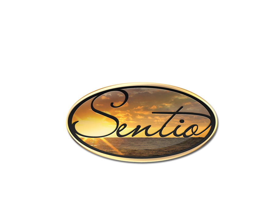 Sentio Logo Sentio Logo Design by LEDPOISON on DeviantArt