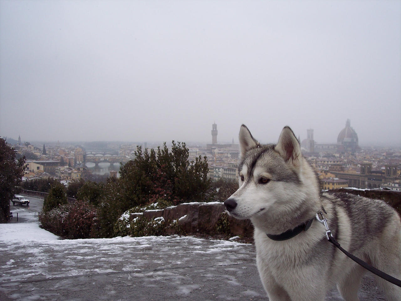 Shani in the snowy Florence