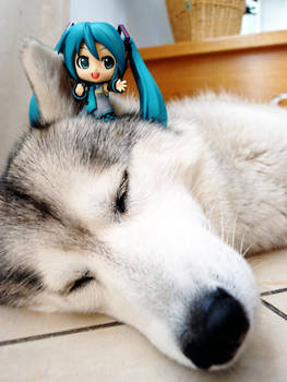 Miku's New Ride