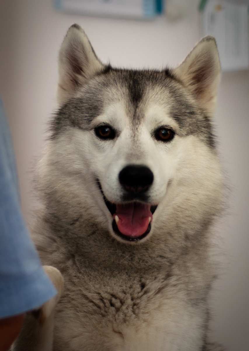 Can I Have a Cookie?