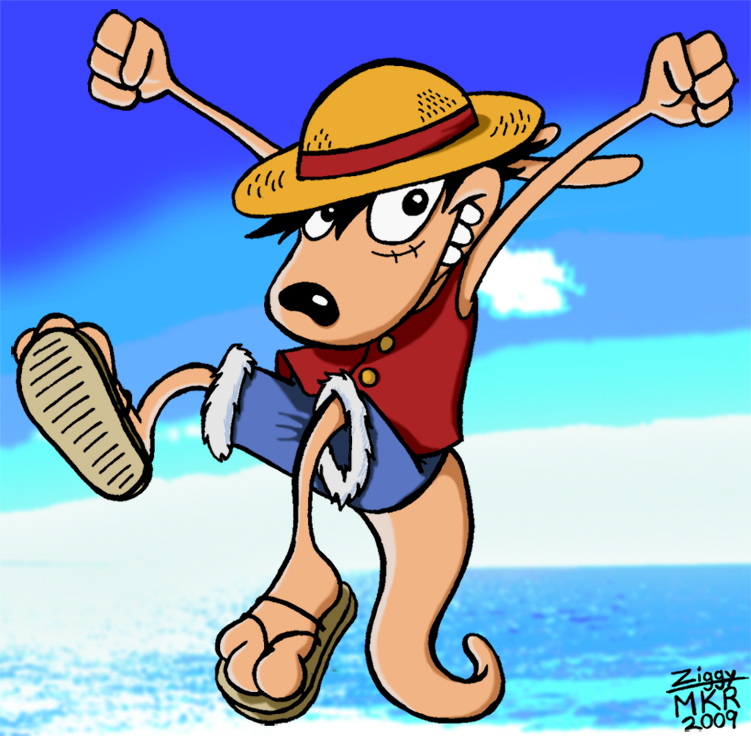 Rocko D. Luffy