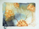 Synapse no2 by cornproduct