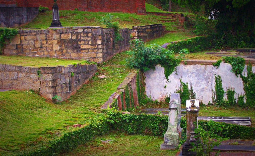 Rose Hill Cemetery I