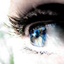eye 8