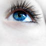 eye. .