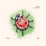 LadyBird