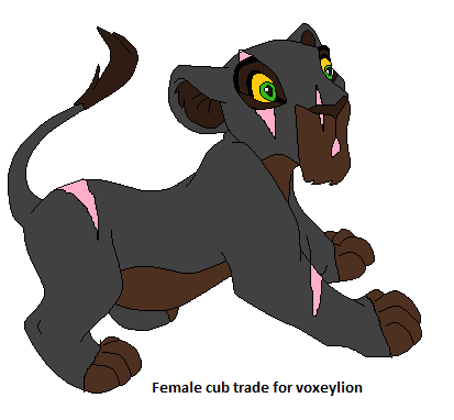 Female lioness cub trade with voxeylion