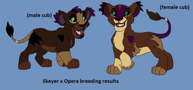 Opera breeding result for Skeyer