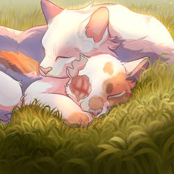 Brightheart And Cloudtail