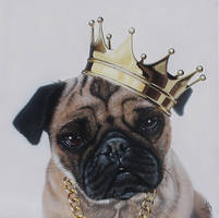 Pug Life