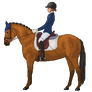 Horse and Rider (dressage)