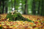 Isle Of Autumn by Thinking-Silence
