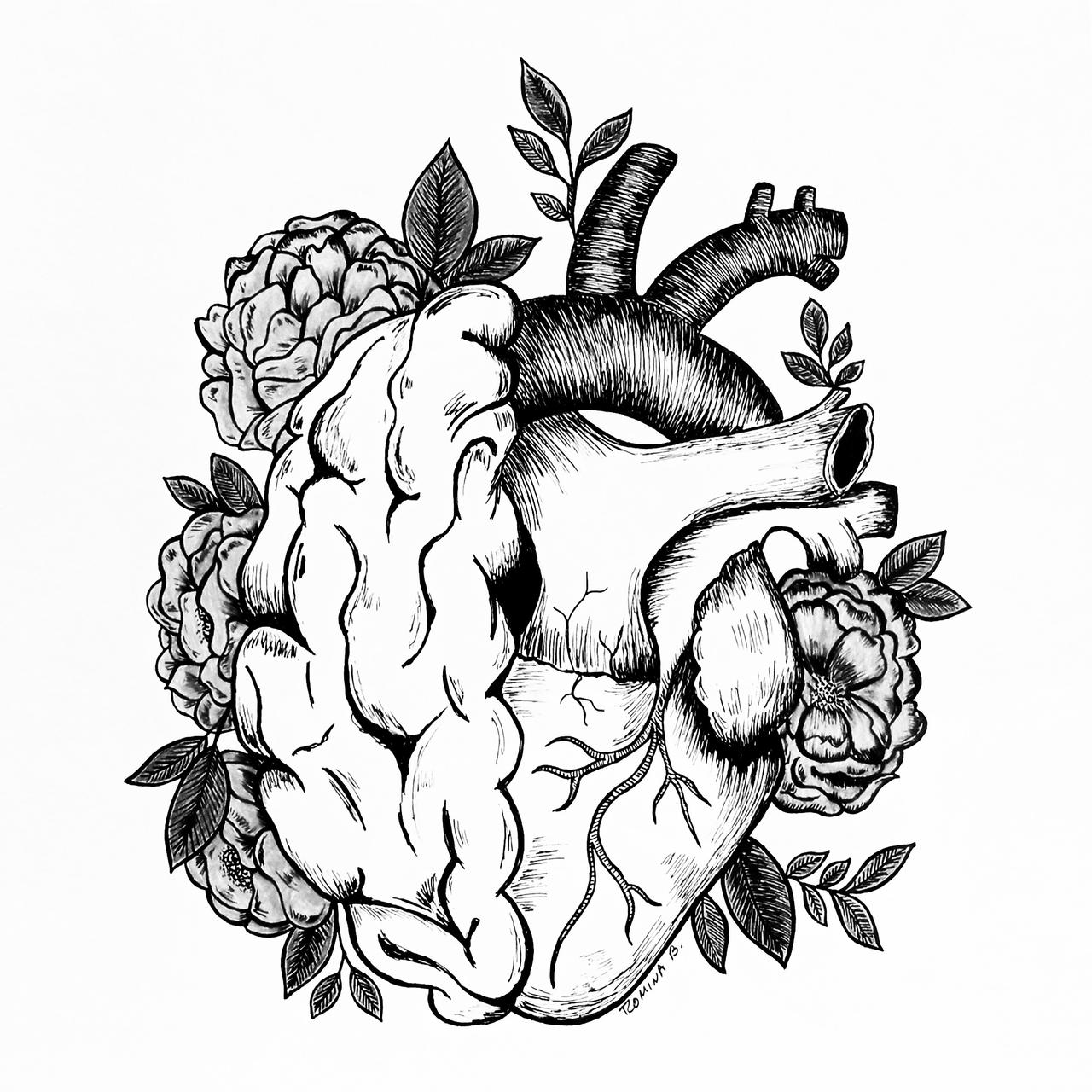 Heart and brain drawing by art090 on DeviantArt