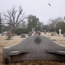 Cemetery: Foggy Background
