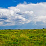 Kelton Landscape Background 2