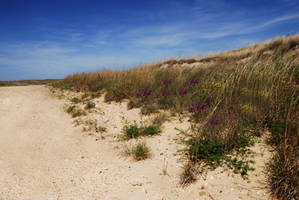 Grassy Beach