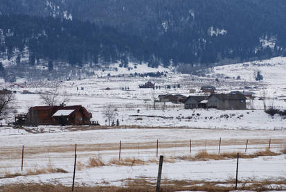 Houses in Snow With Trees