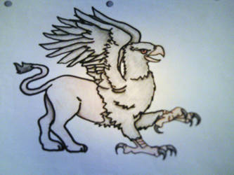 Griffon