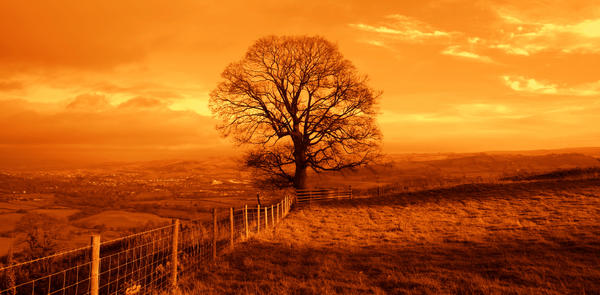 Rooland V by magnificentbastard on DeviantArt