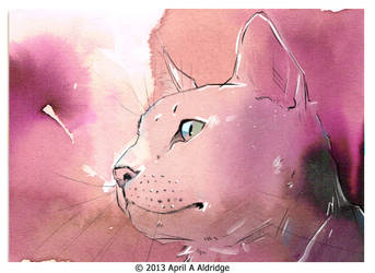 ACEO White Cat