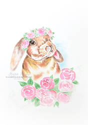 Peony Bunny