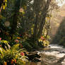 RvBrainrainforest4