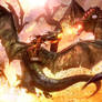 Dragon Combat