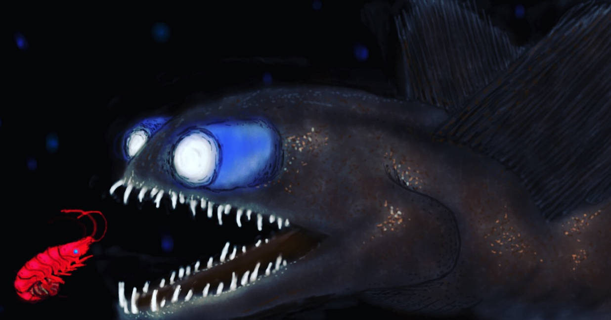 Telescope fish by nightfish6 on DeviantArt