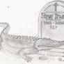 In Memory of Steve Irwin