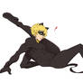 Chat Noir