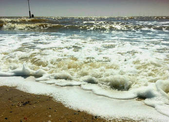 Sea foam waves