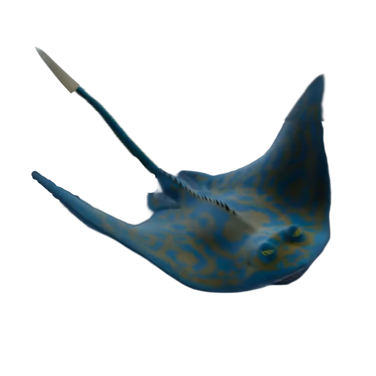 Knife ray. Ost by Davidg2401 on DeviantArt