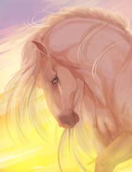 Commission Golden horse