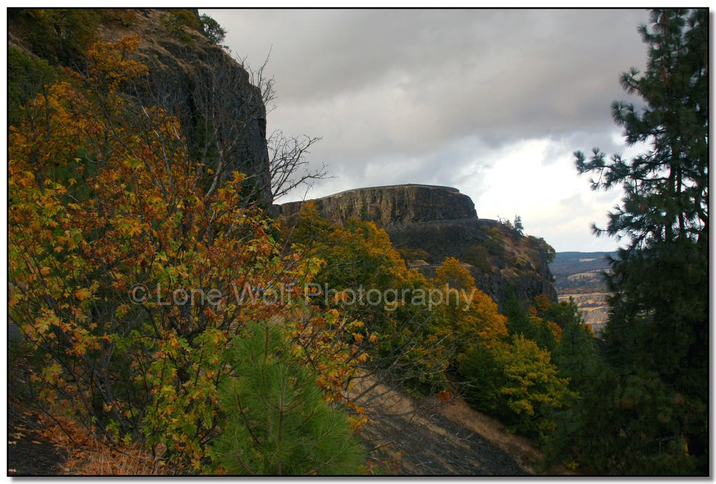 Autumn in the Gorge  002