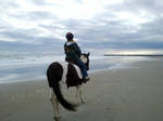 Horse by the sea by Jazzninja545