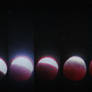 Total Lunar Eclipse 2025