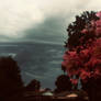 tornado..