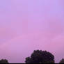 pink dream..