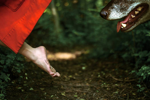 Little Red Riding Hood