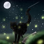 Starry Sky of Windclan