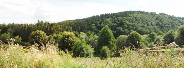 Eifel Hills