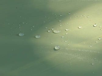 Water Droplets 3