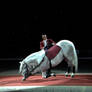 bowing Lipizzaner