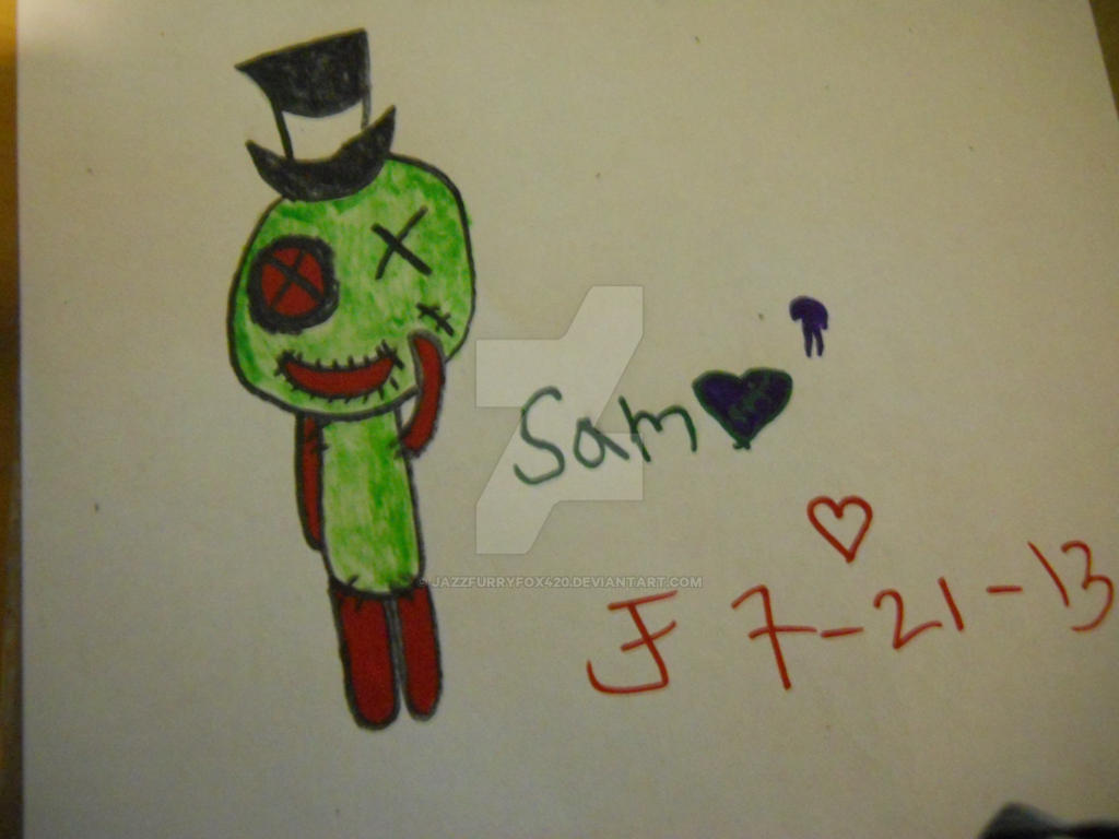 Sam X Rags Sam the rag doll by JazzFurryFox420 on DeviantArt