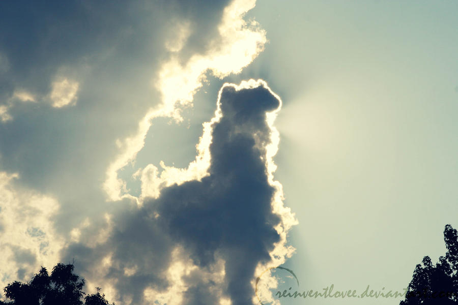 Llama Cloud X3