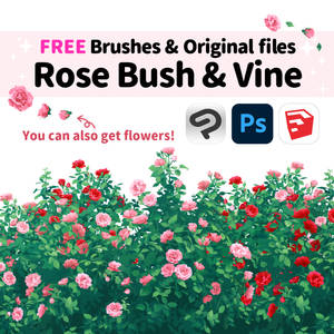 [Free] Rose Brushes, Illustrations, Component