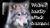 Do not demonize wolves