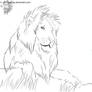 Realism lion lineart